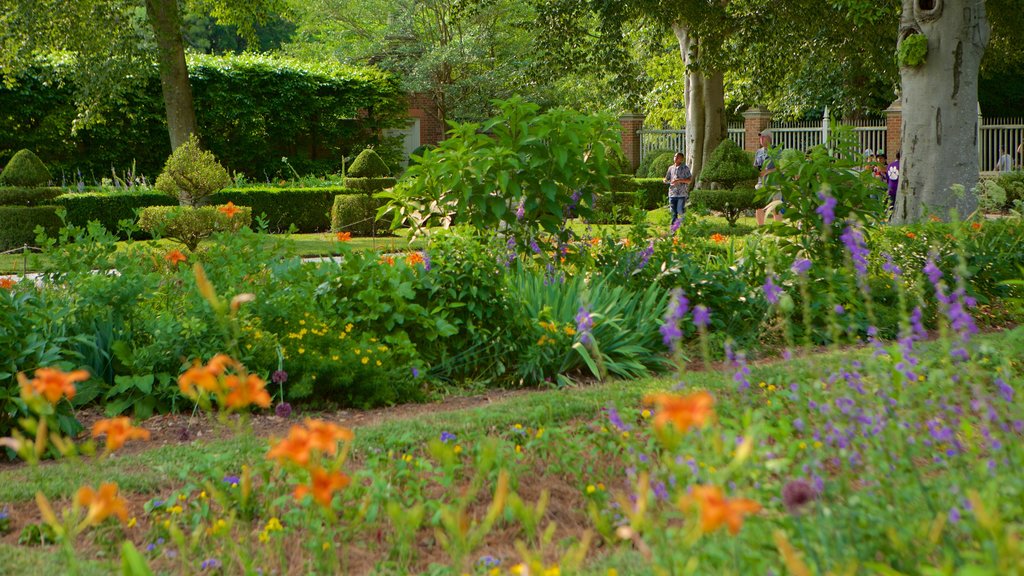 Governor\'s Palace showing a garden, flowers and an administrative building