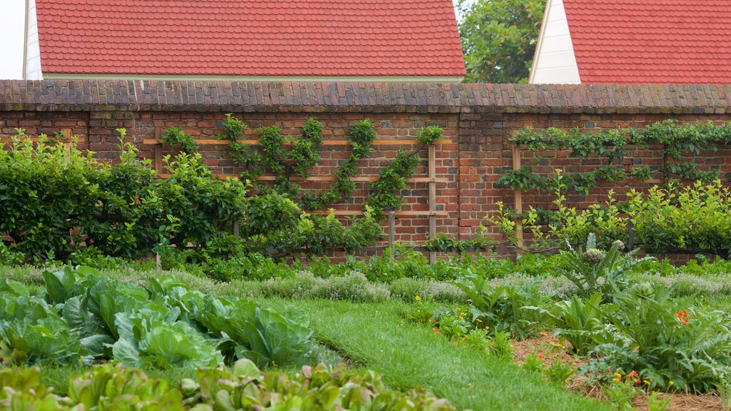 George Washington\'s Mount Vernon mostrando un jardín