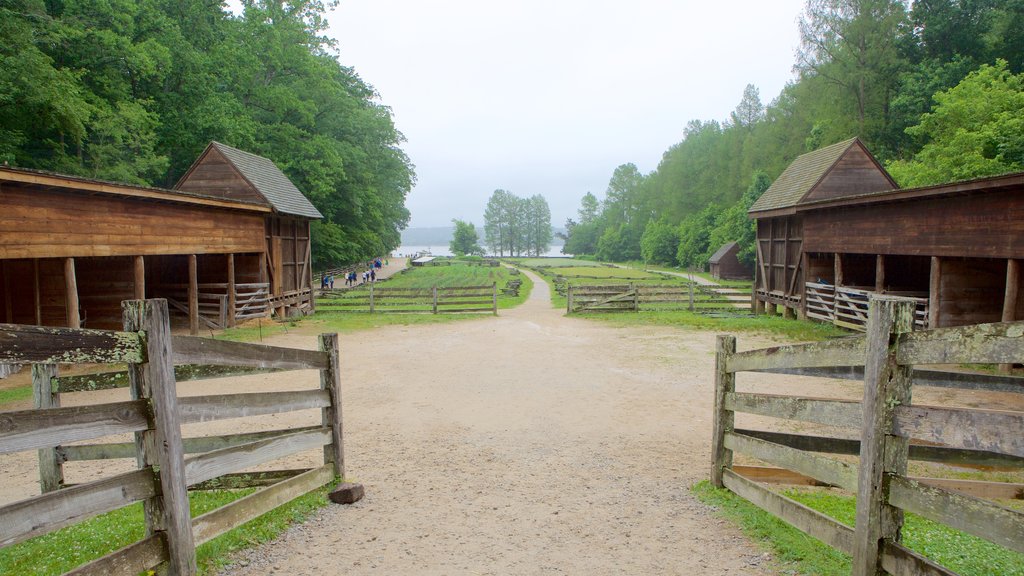 George Washington\'s Mount Vernon ofreciendo elementos del patrimonio, un jardín y escenas tranquilas