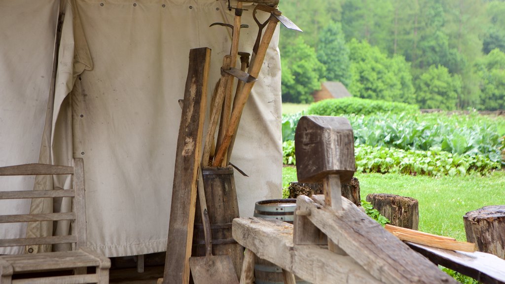 George Washington\'s Mount Vernon showing a garden and heritage elements