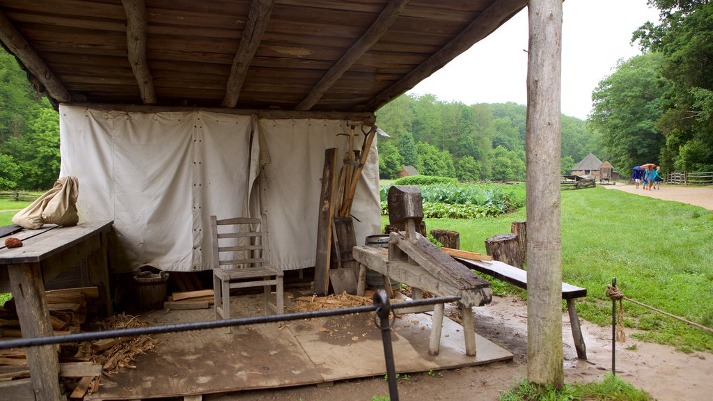 George Washington\'s Mount Vernon showing a garden, tranquil scenes and heritage elements