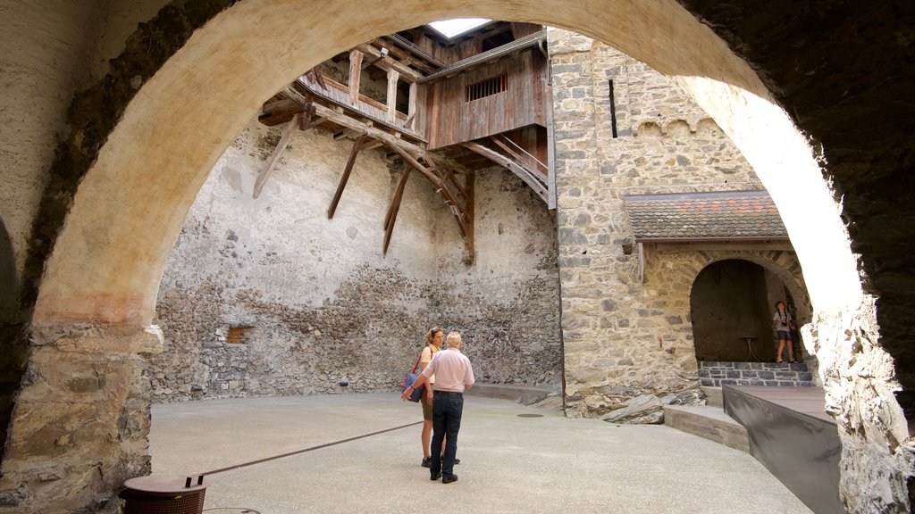 Liechtenstein which includes a castle, heritage elements and interior views