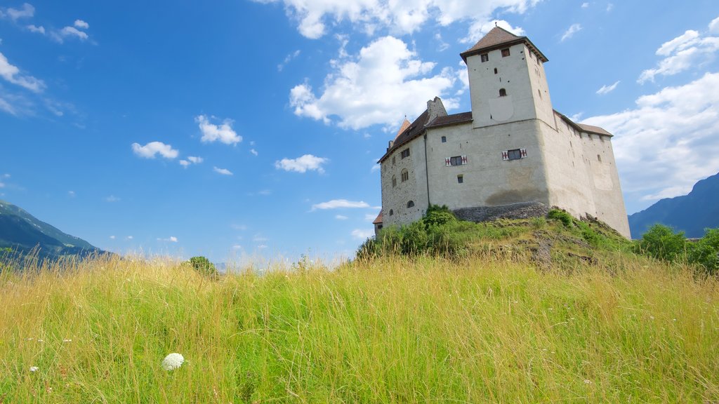 Liechtenstein fasiliteter samt rolig landskap, slott og kulturarv