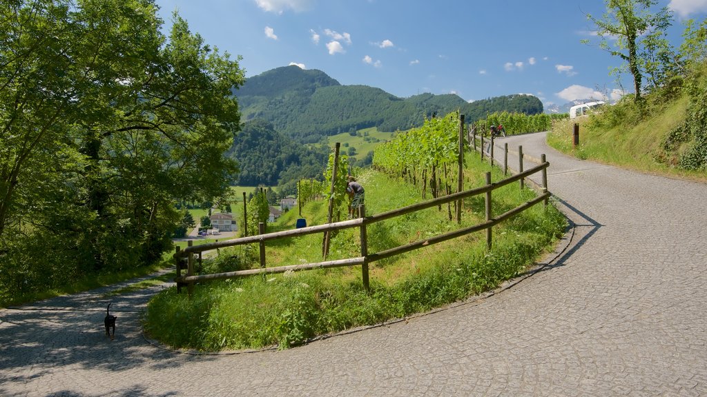 Liechtenstein qui includes scènes tranquilles