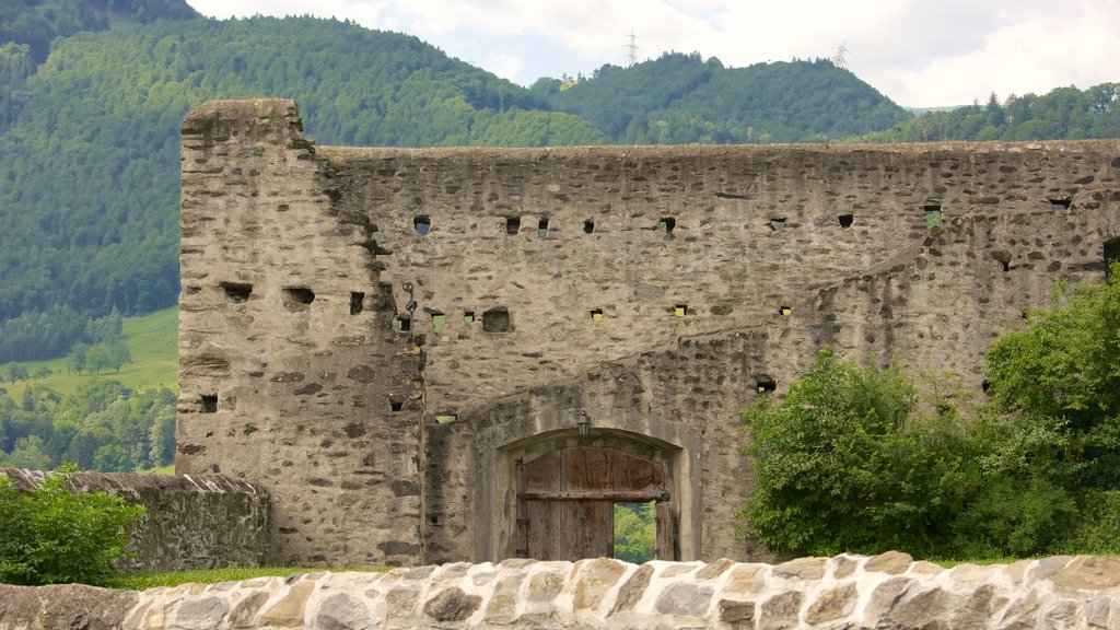 Liechtenstein which includes tranquil scenes, a ruin and heritage elements