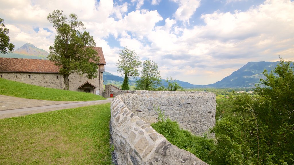 Liechtenstein mostrando cenas tranquilas, um castelo e elementos de patrimônio