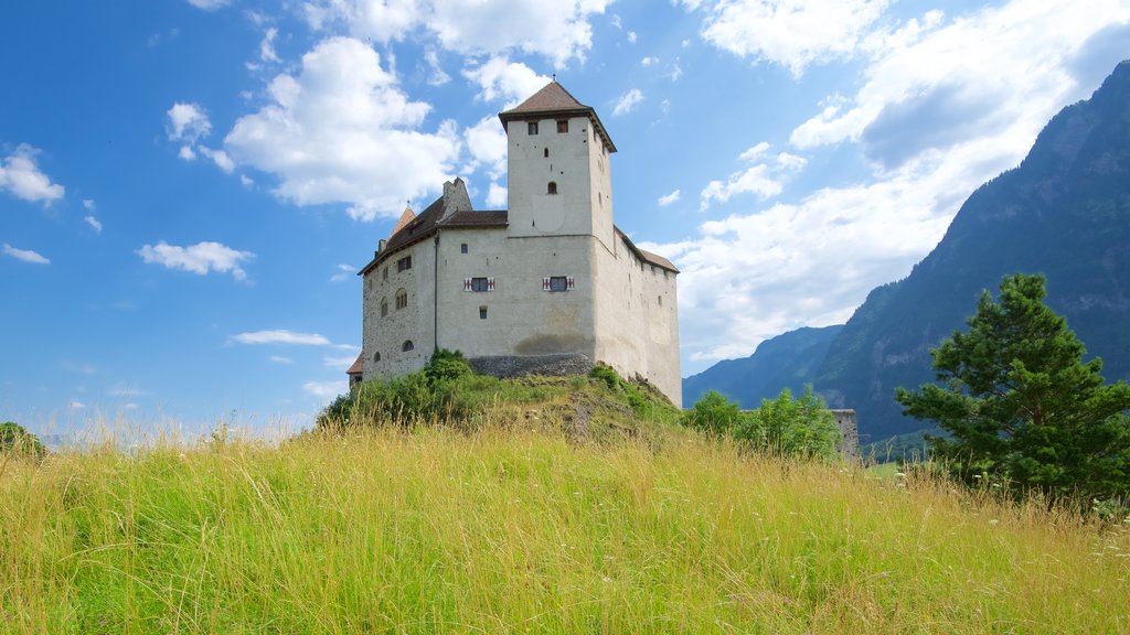 Liechtenstein mostrando elementos del patrimonio, escenas tranquilas y un castillo