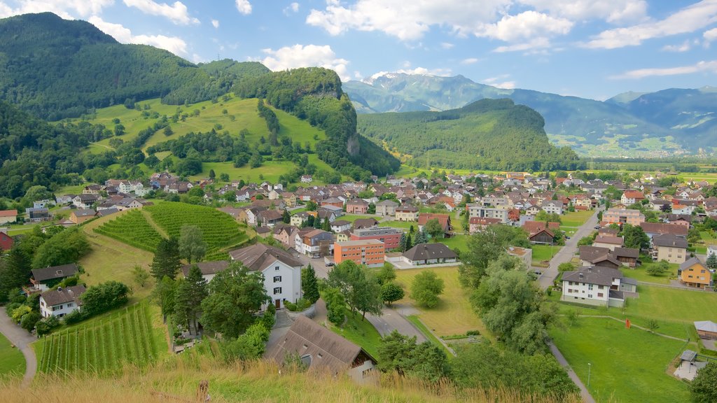 Liechtenstein ofreciendo vista panorámica, una pequeña ciudad o aldea y granja