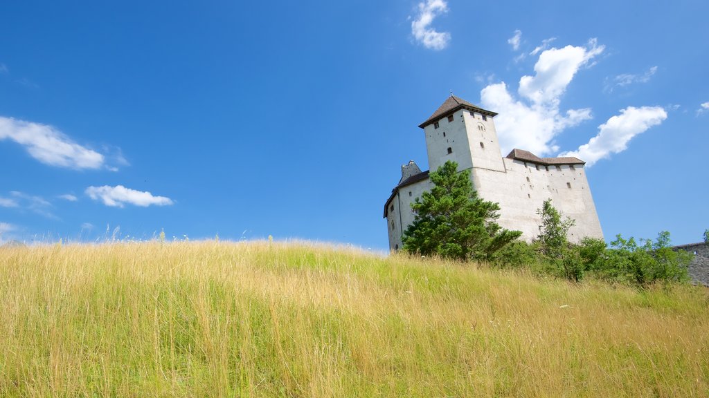 Liechtenstein som viser rolig landskap, palass og kulturarv