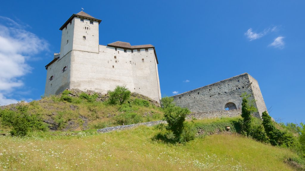 Liechtenstein fasiliteter samt rolig landskap, slott og kulturarv