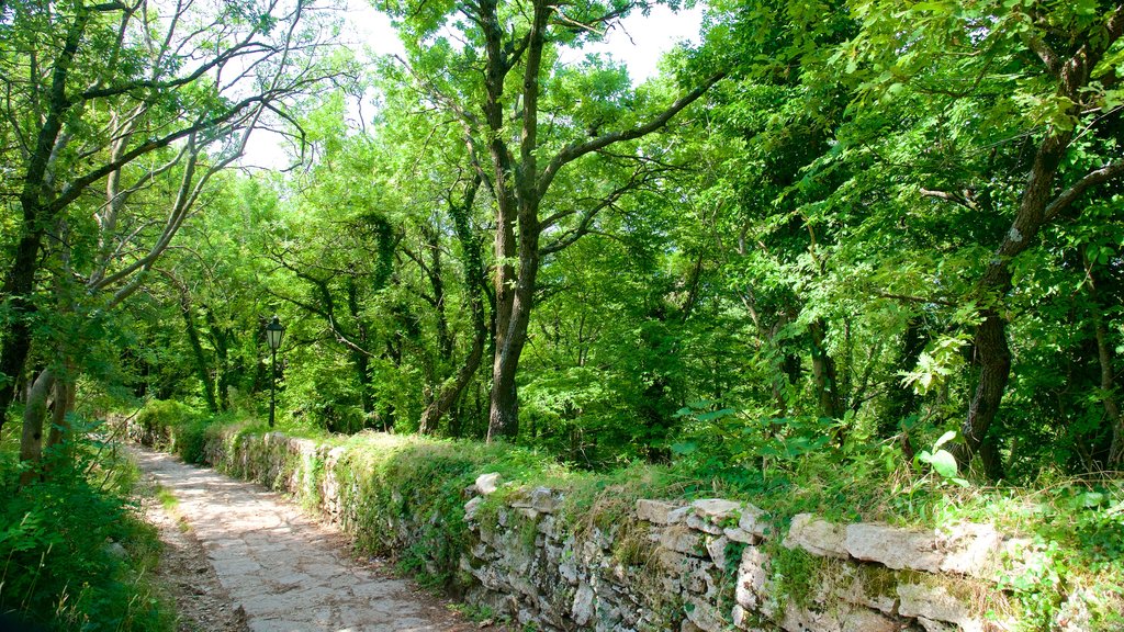 Montale Tower showing a garden