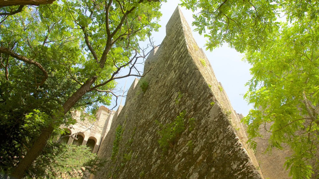 Montale Tower which includes château or palace and heritage elements