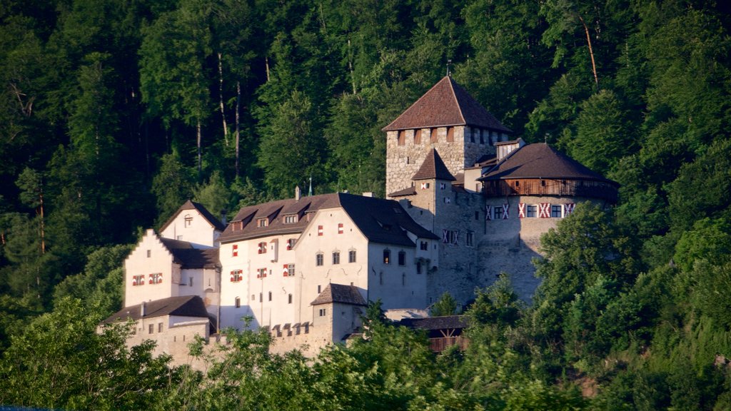 Vaduz Castle which includes château or palace, heritage architecture and forest scenes