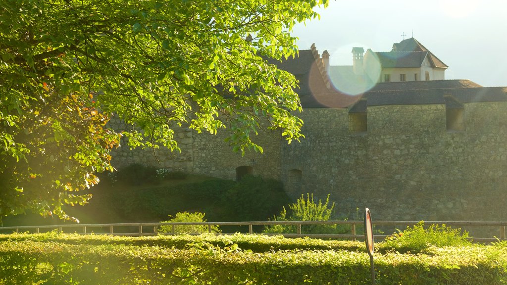 Vaduz Castle showing a park