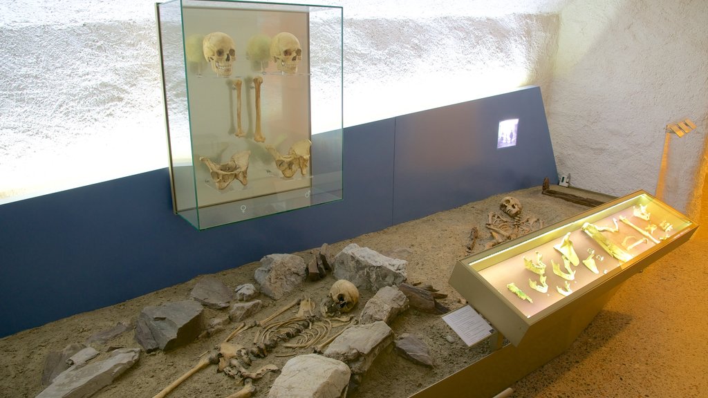 Liechtenstein National Museum featuring interior views