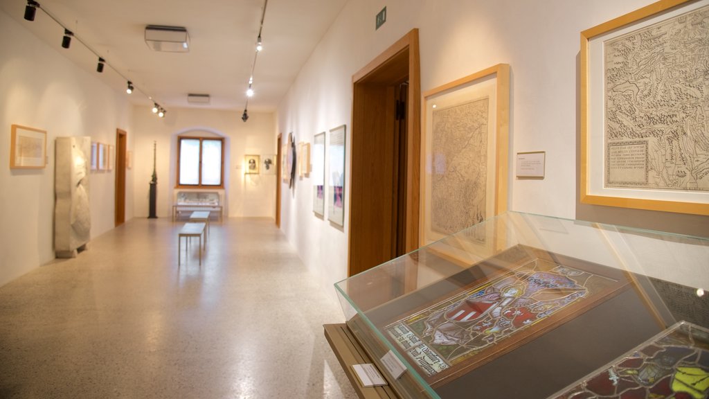 Liechtenstein National Museum showing interior views