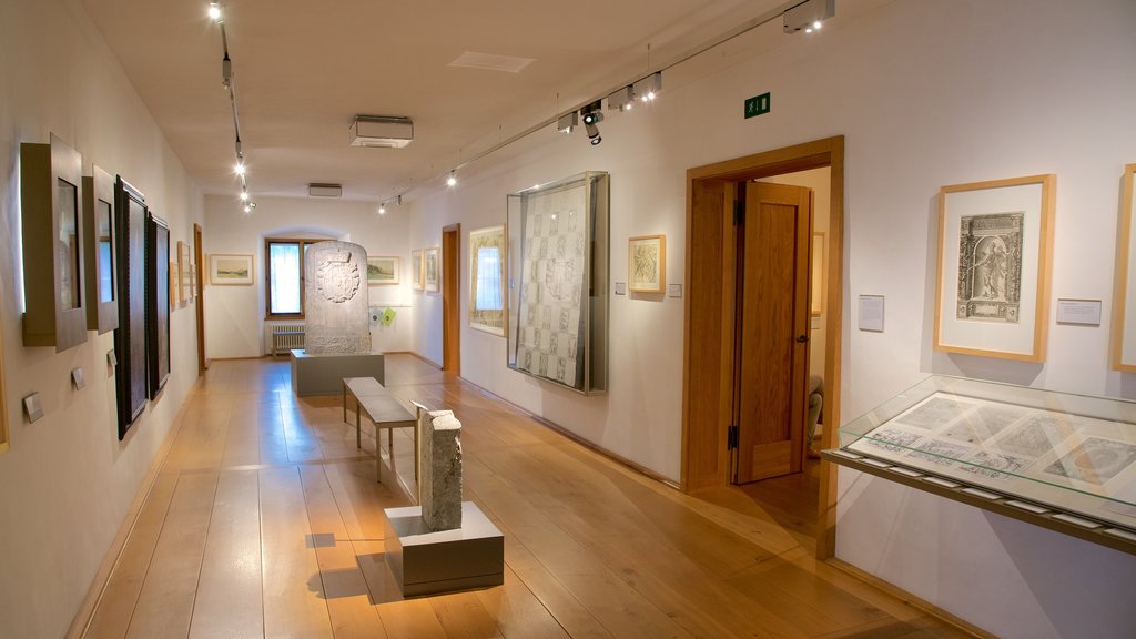 Liechtenstein National Museum featuring interior views