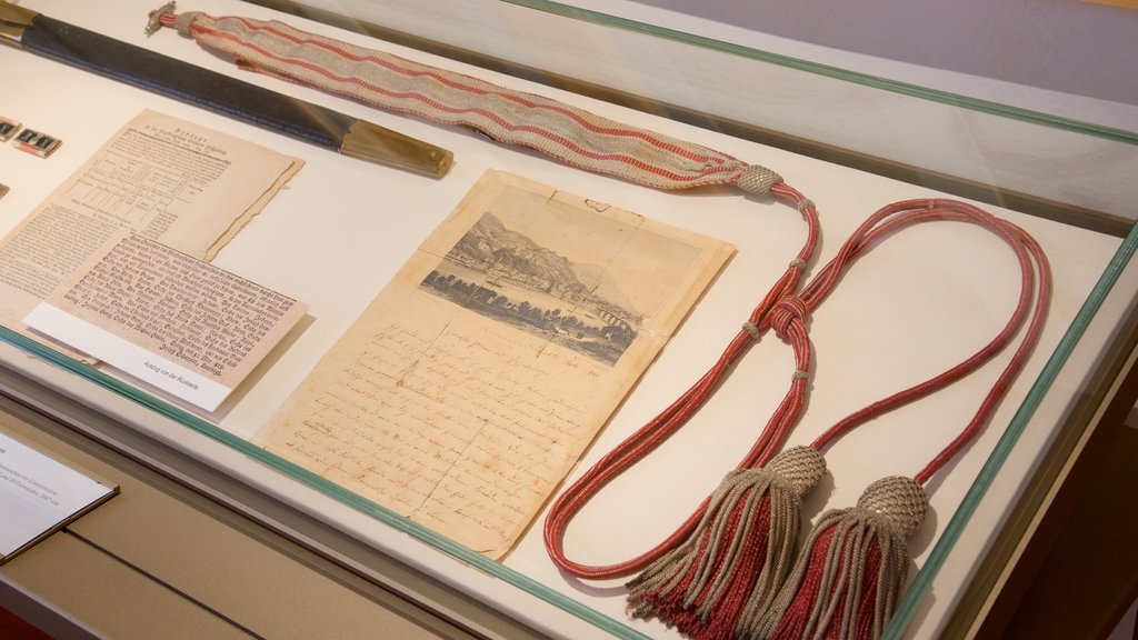 Liechtensteinisches Landesmuseum toont interieur