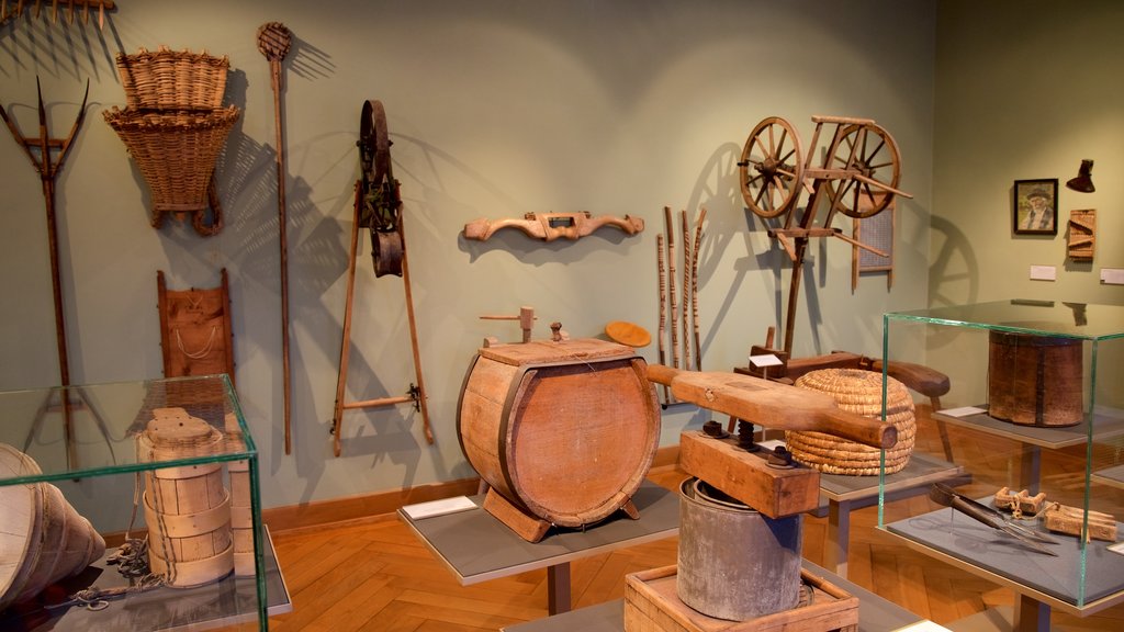 Liechtenstein National Museum showing interior views