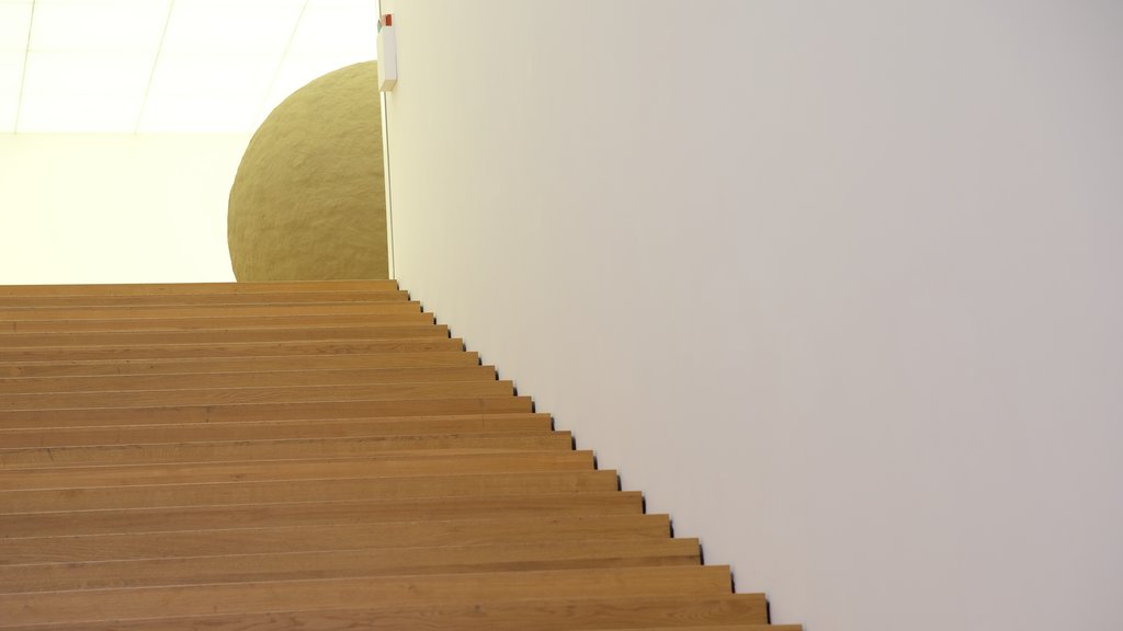 Liechtenstein Art Museum which includes interior views