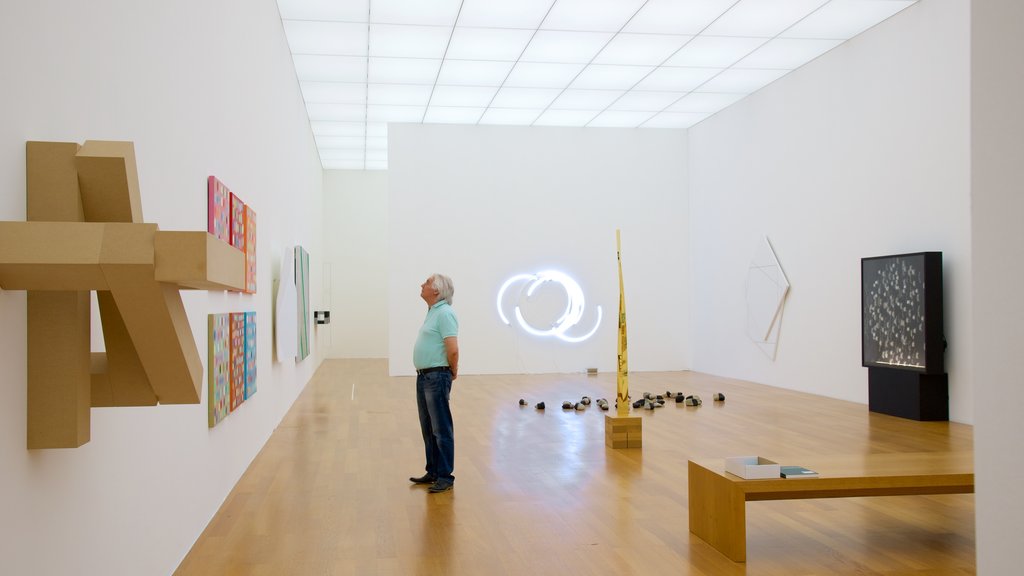 Museo de Arte de Liechtenstein ofreciendo vistas interiores y arte y también un hombre