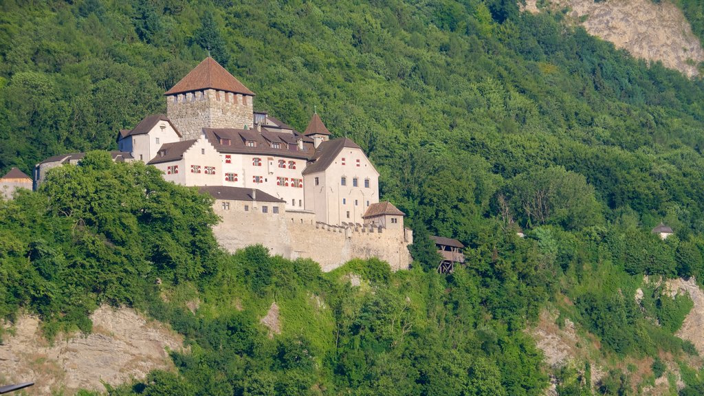 Castelo de Vaduz mostrando cenas tranquilas, montanhas e arquitetura de patrimônio