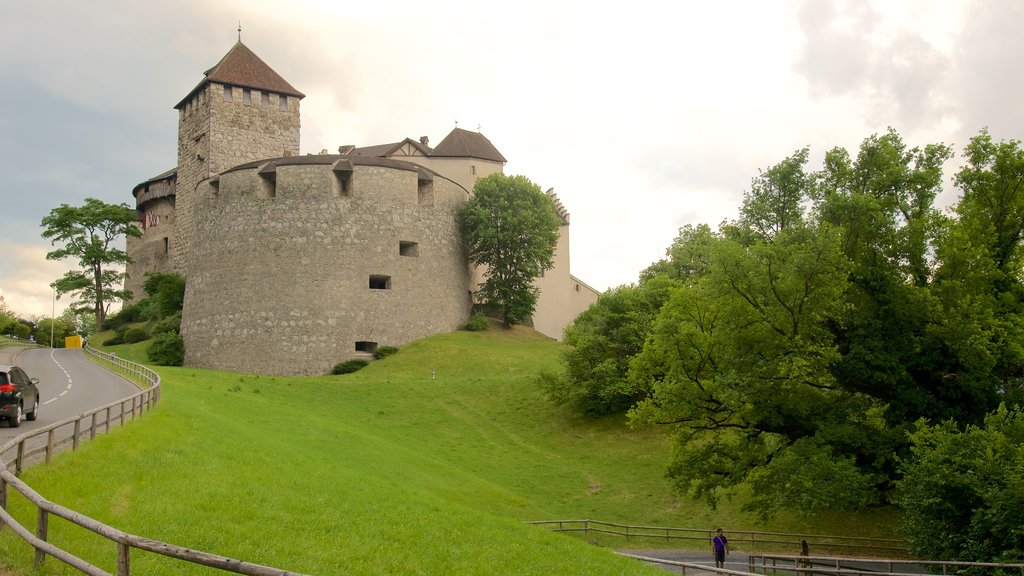 Vaduz Slot som omfatter slot eller palads, fredfyldte omgivelser og historiske bygningsværker