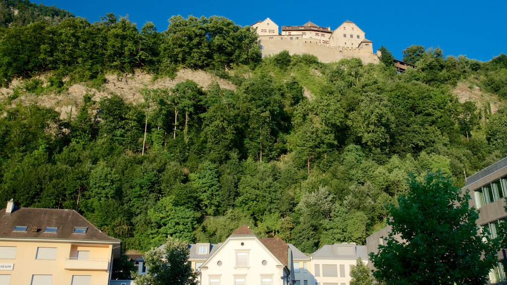 Castillo de Vaduz ofreciendo elementos del patrimonio, una pequeña ciudad o pueblo y un castillo