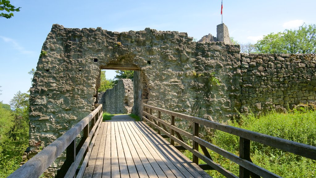 Liechtenstein ofreciendo un puente, elementos patrimoniales y ruinas de un edificio