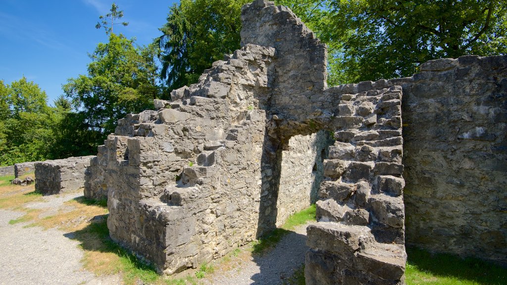 Liechtenstein mettant en vedette ruine et patrimoine historique