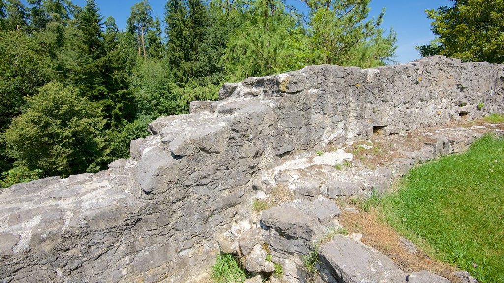 Liechtenstein mostrando elementos de patrimônio e ruínas de edifício