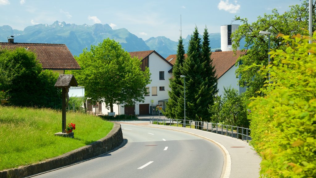 Liechtenstein showing a small town or village and street scenes