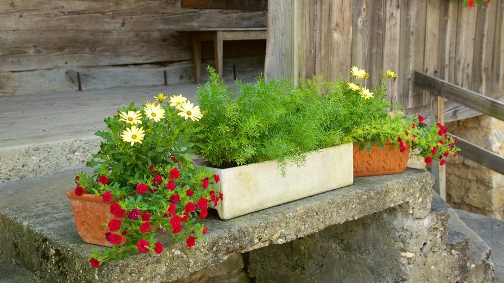 Liechtenstein que incluye flores