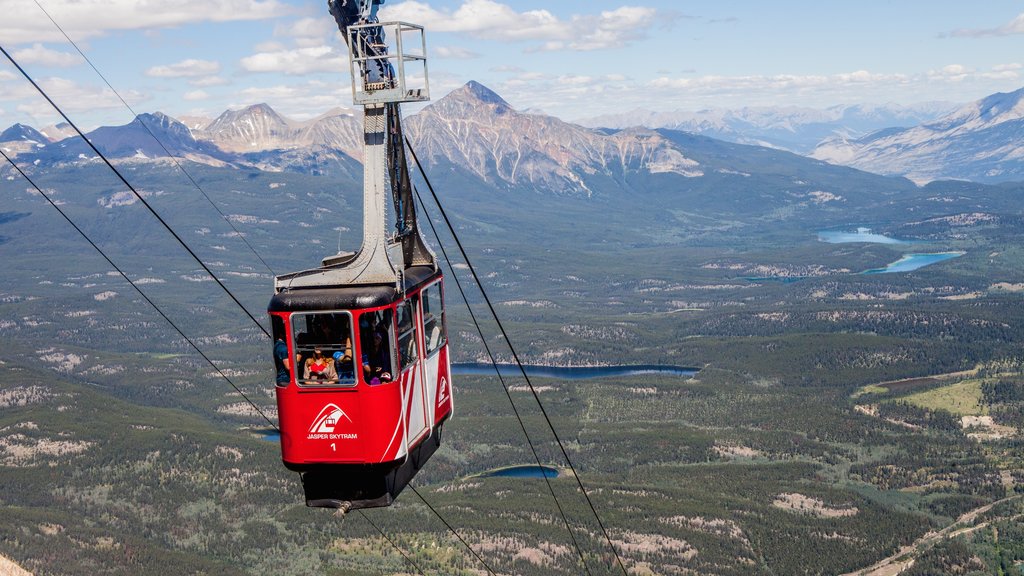 Jasper Tramway mettant en vedette montagnes, panoramas et scènes tranquilles