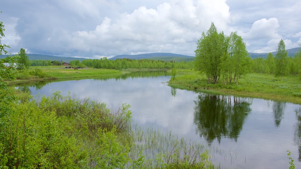 Akaslompolo inclusief een rivier of beek, vredige uitzichten en wetlands