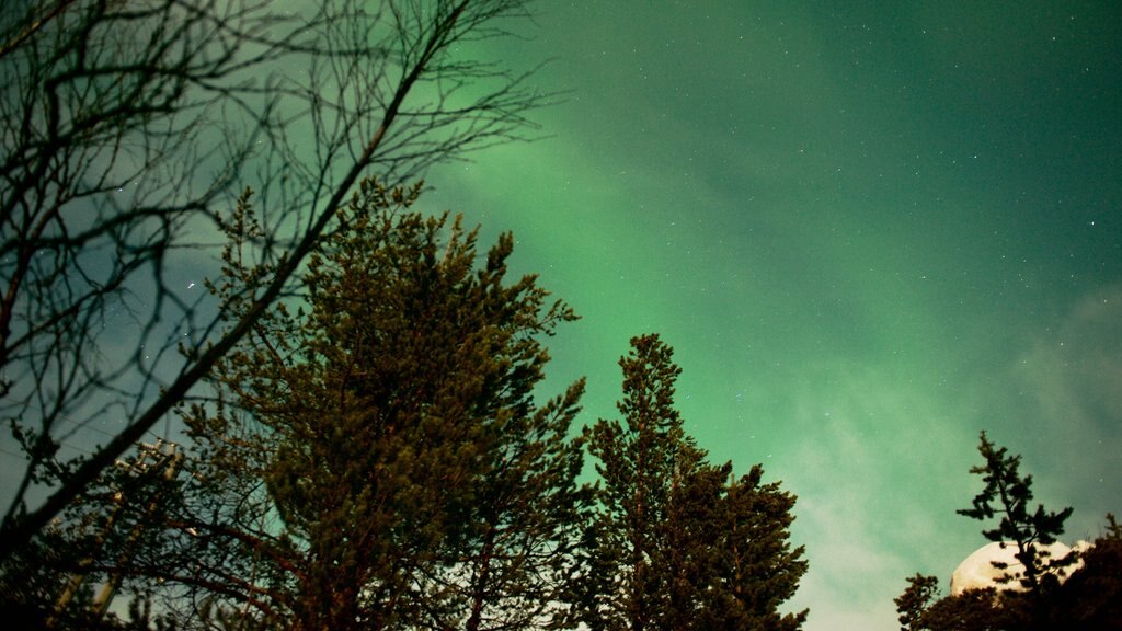 Kaaresuvanto bevat noorderlicht