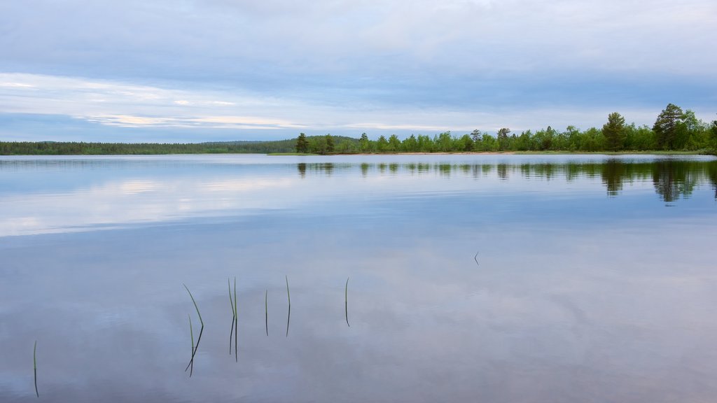 Muotkajarvi which includes tranquil scenes and a river or creek