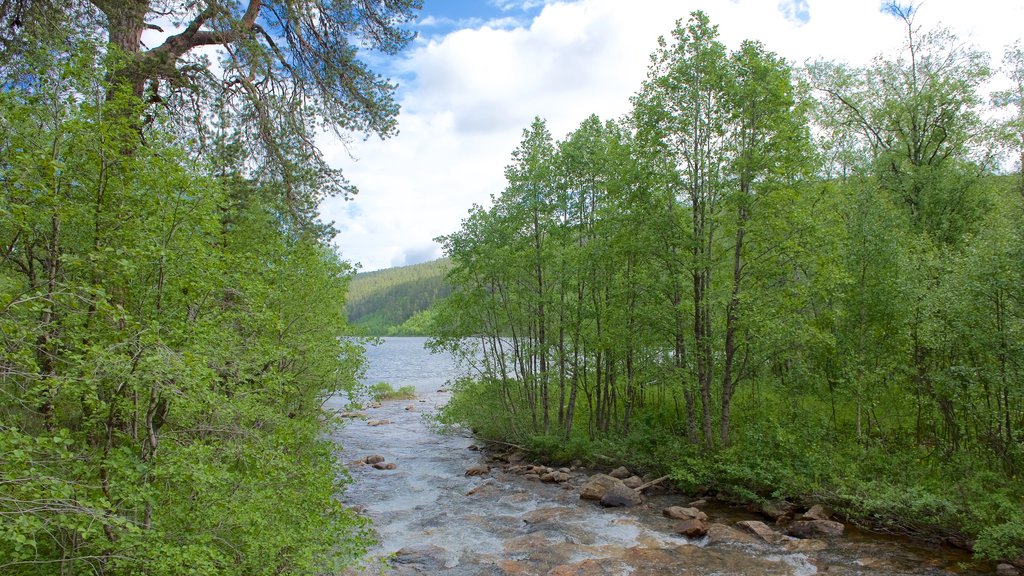 Lemmenjoki National Park which includes a river or creek and tranquil scenes