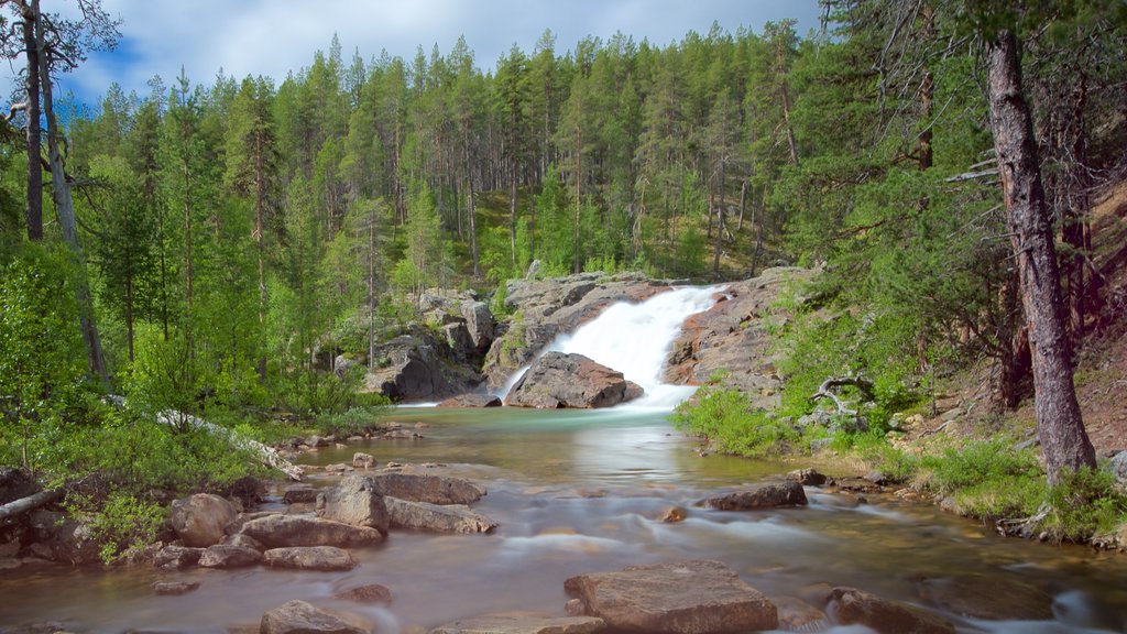 Parque nacional Lemmenjoki que incluye bosques, rápidos y escenas tranquilas