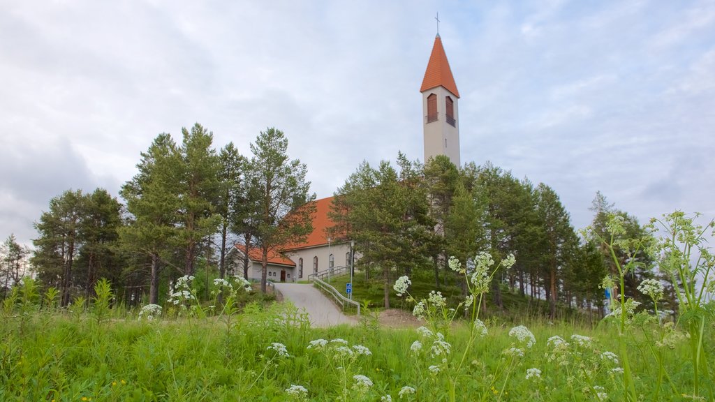 Enontekio Church featuring a church or cathedral and a park