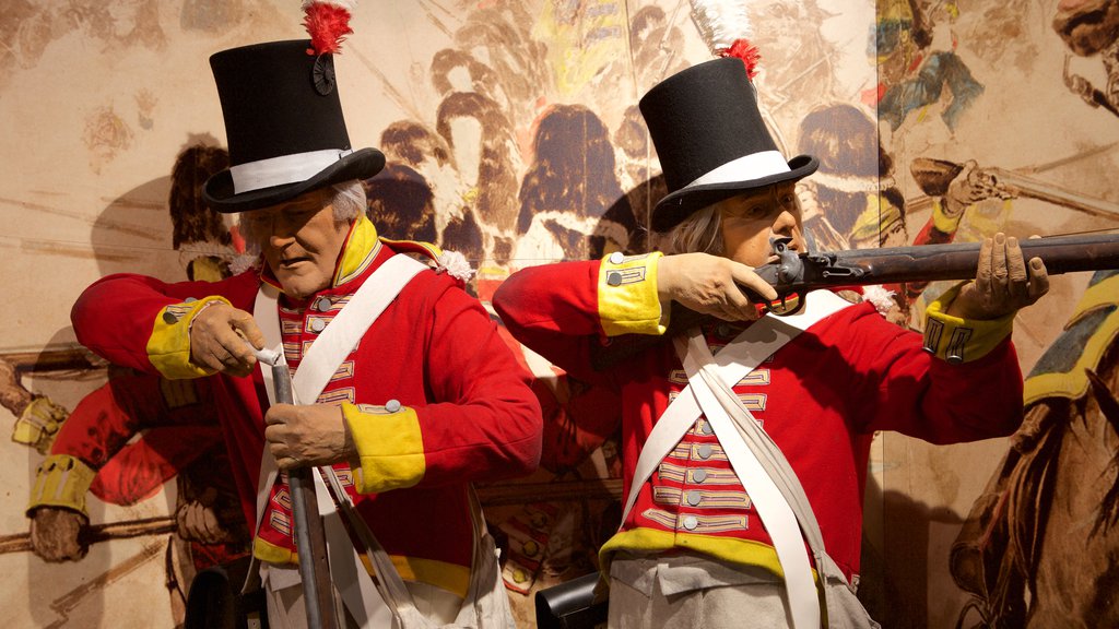 Regiments of Gloucestershire Museum showing a statue or sculpture, interior views and military items