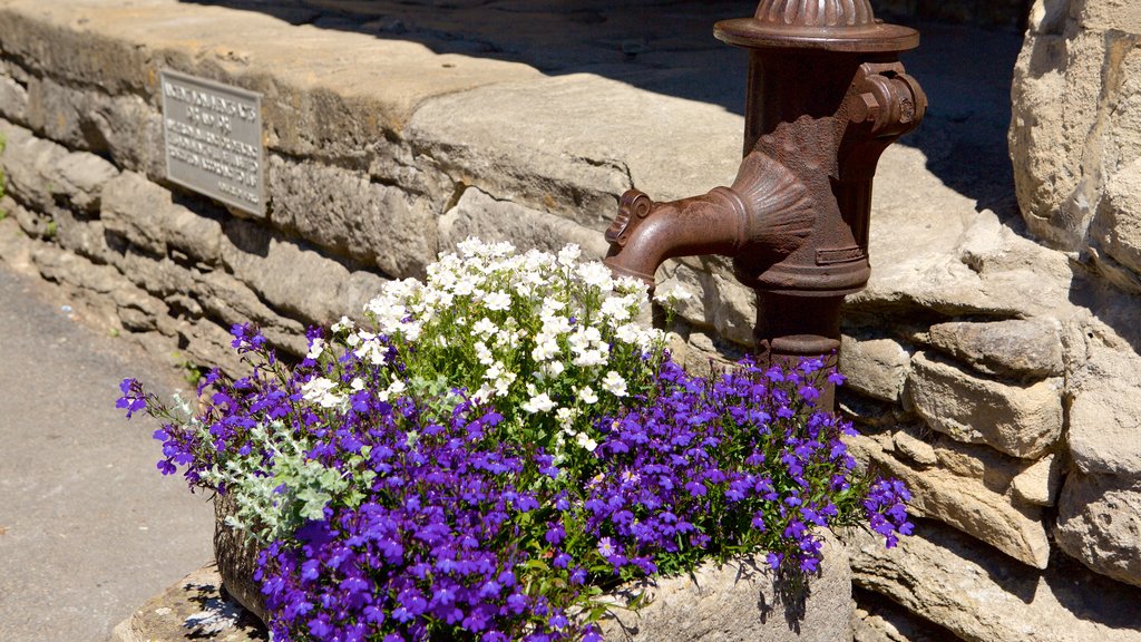 Castle Combe que incluye flores