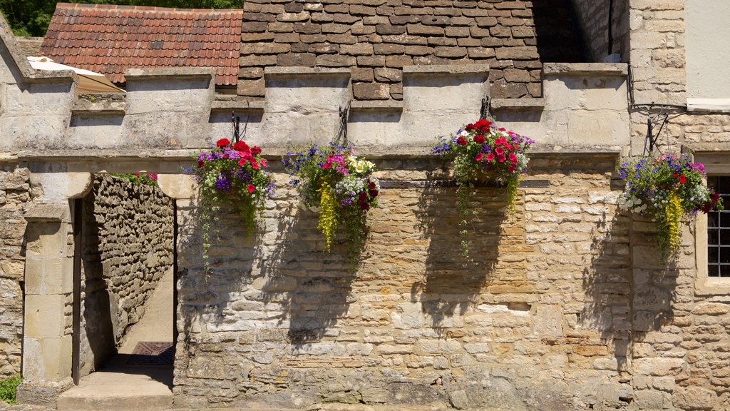 Castle Combe mostrando elementos de patrimônio e flores