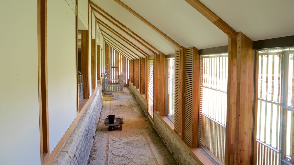 Chedworth Roman Villa showing interior views