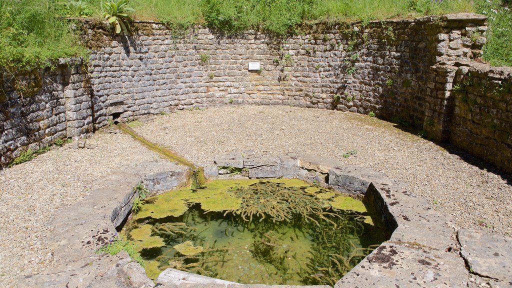 Chedworth Roman Villa featuring a pond