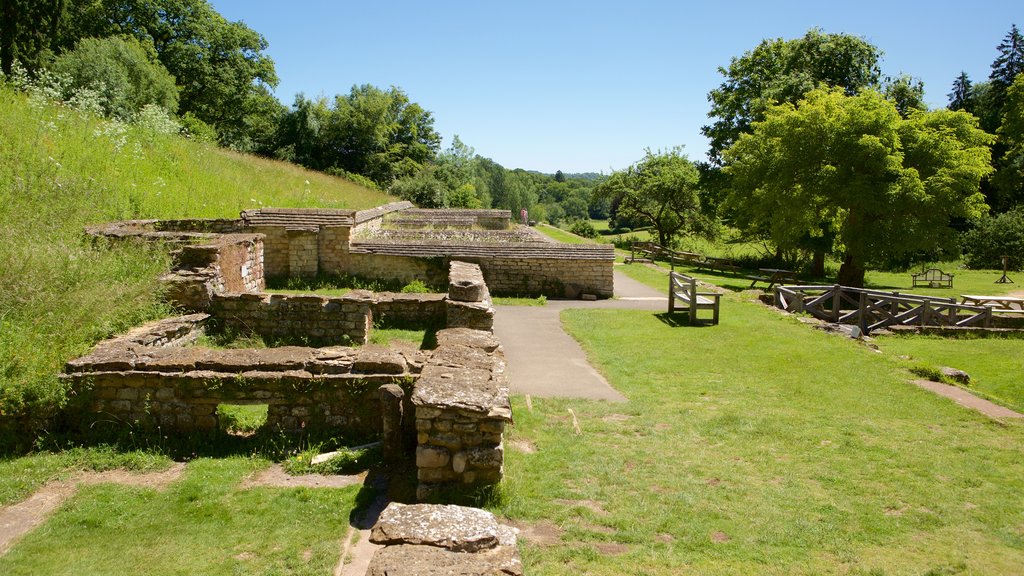 Chedworth Roman Villa che include oggetti d\'epoca e giardino