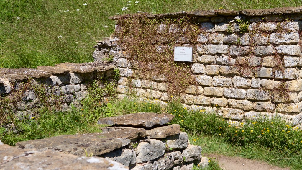 Villa romana de Chedworth que incluye elementos patrimoniales