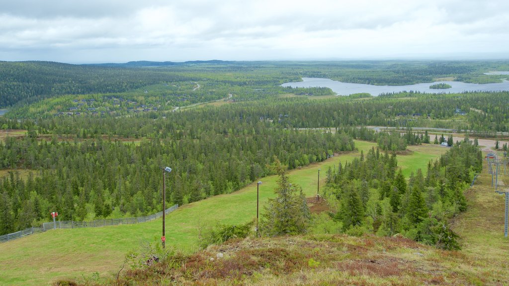 Rukatunturi som visar landskap, stillsam natur och skogar