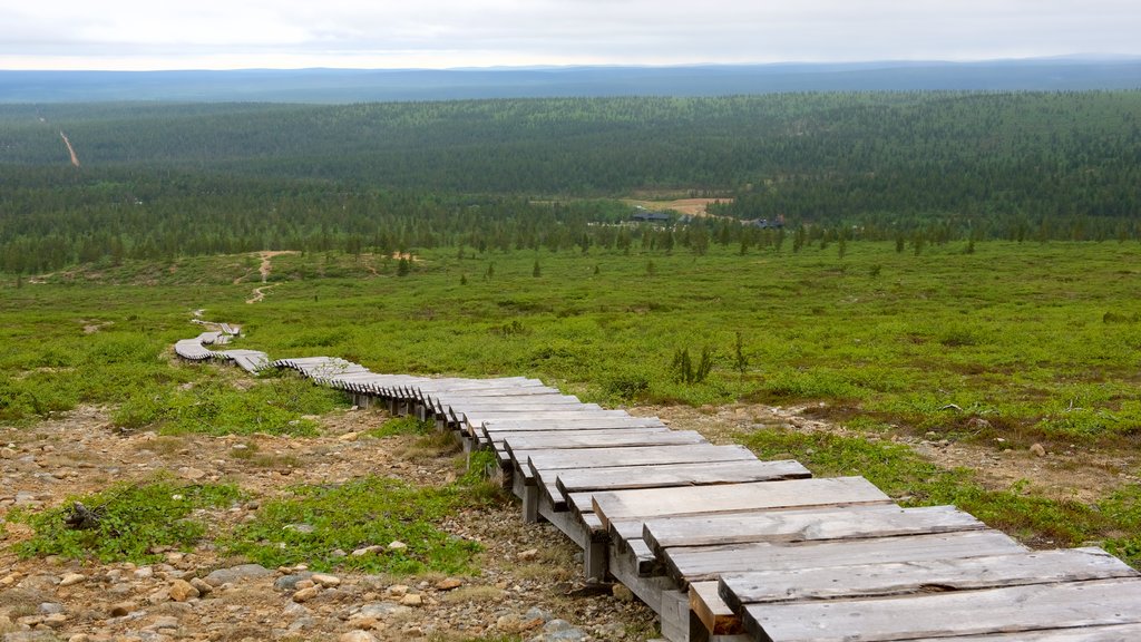 Upper Lapland which includes tranquil scenes and landscape views