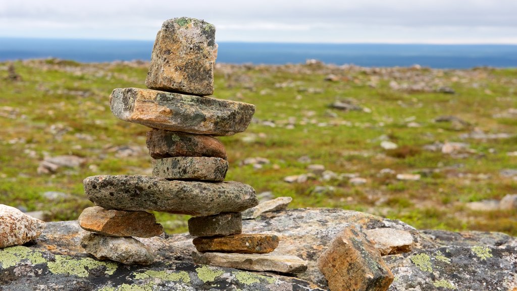 Parque nacional Urho Kekkonen que incluye escenas tranquilas